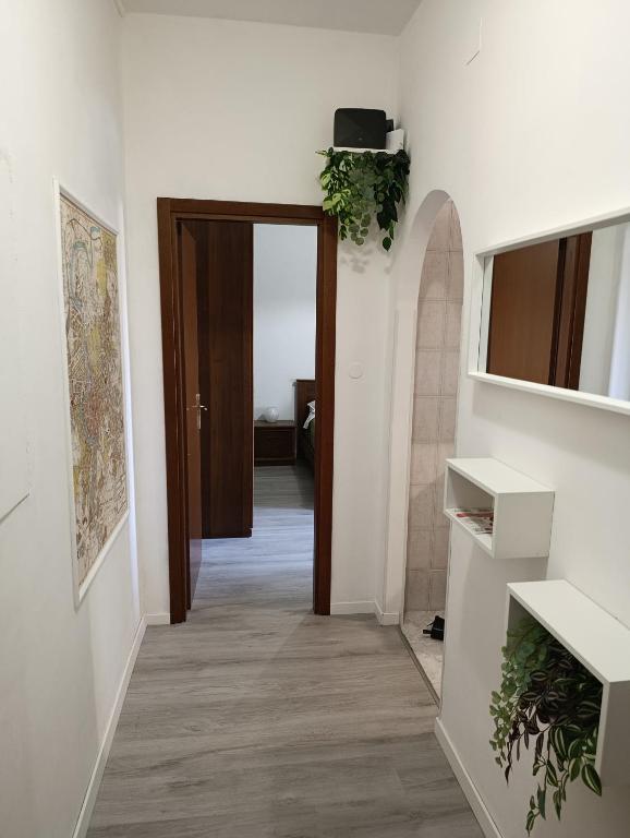 tonietta house - 4