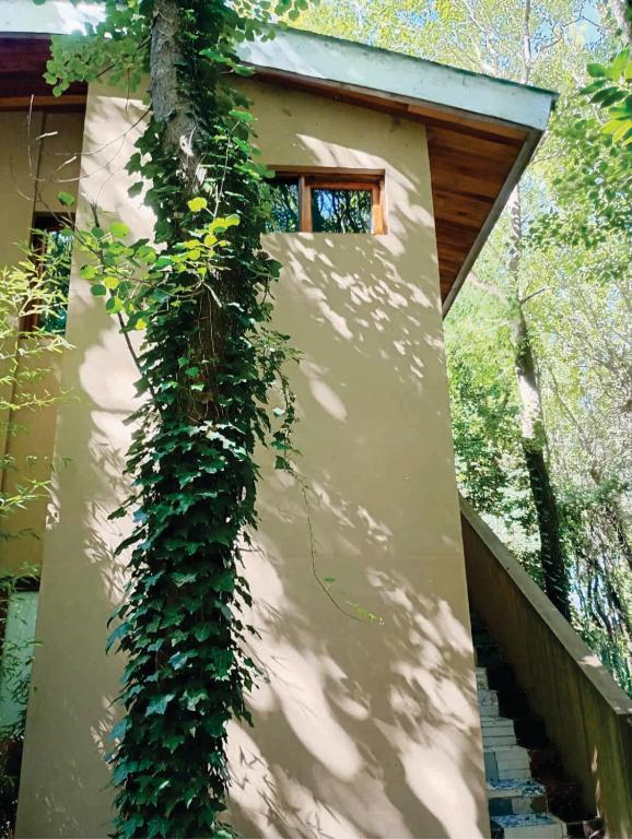 casas del arbol 5 - 1
