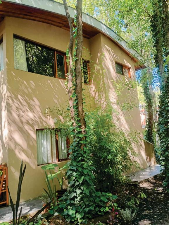 casas del arbol 5 - 2