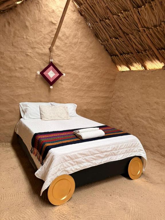 rancheria divi divi - 2