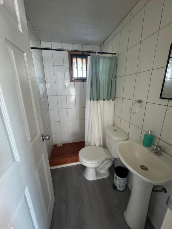 Alto Cipres Quillón - 2