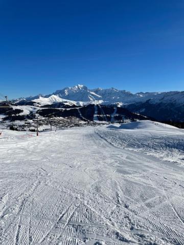Chalet Nest - 4