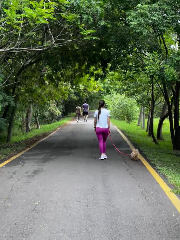 Rincón del Sol, country charm in the heart of the capital - 5