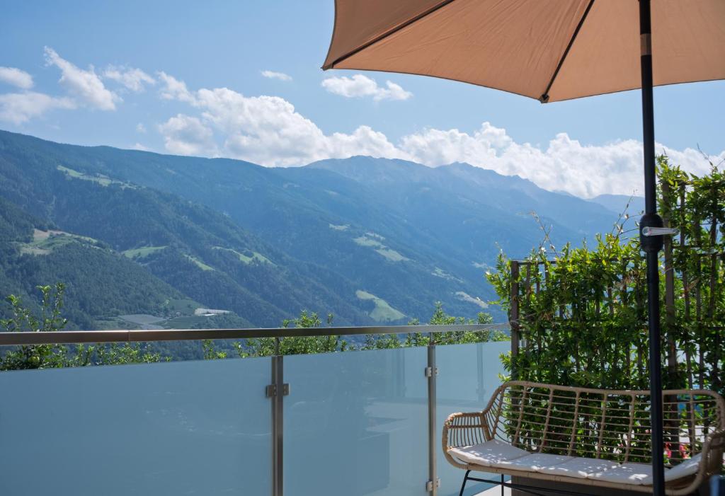 Texlhof - Stella Alpina - 1