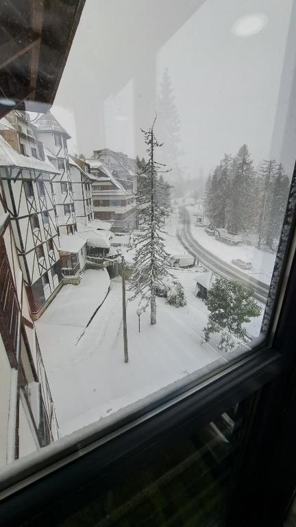 Apartman Bjanka 308 - 2