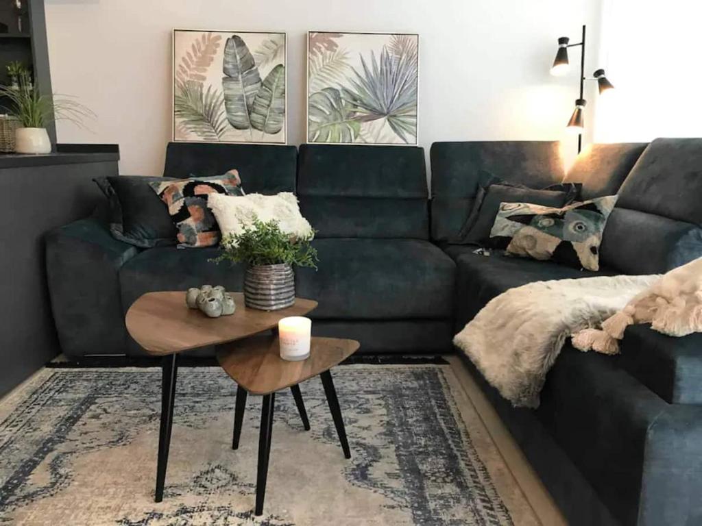 bonito bonito viña NO ARGENTINOS - 4