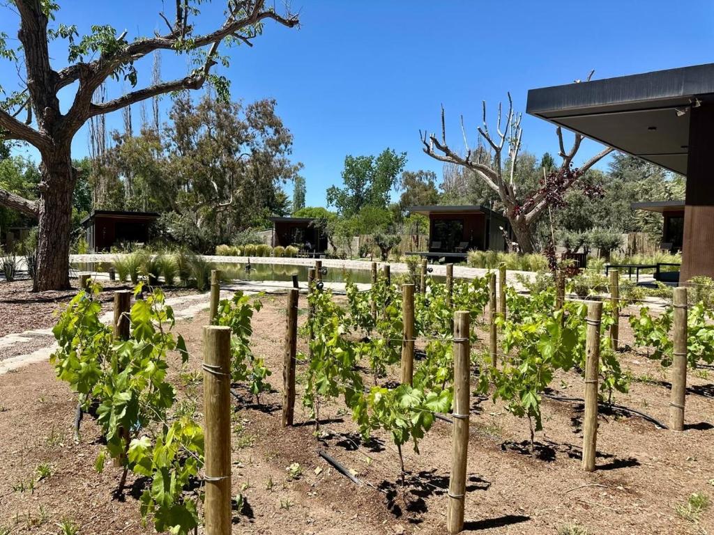 LUN Aurora Lodge Chacras de Coria - 5