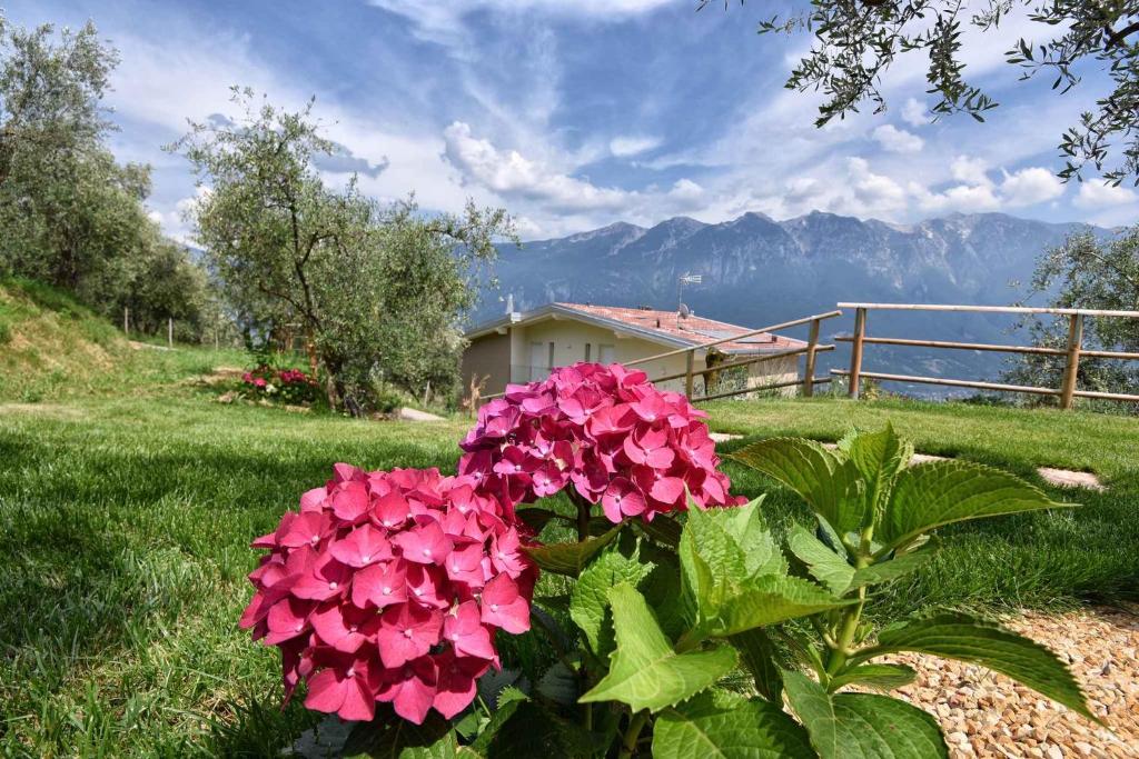 Apartments in Tremosine sul Garda 34645 - 5