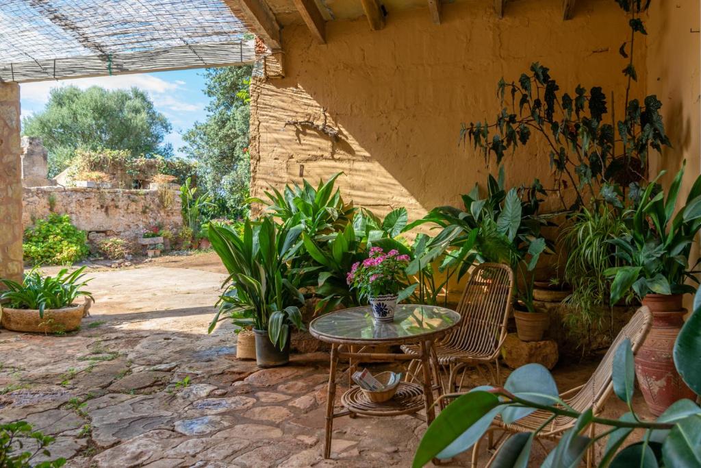 Son Mayol - Agroturismo - 3