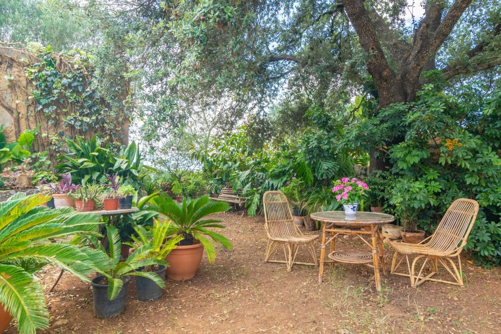Son Mayol - Agroturismo - 5