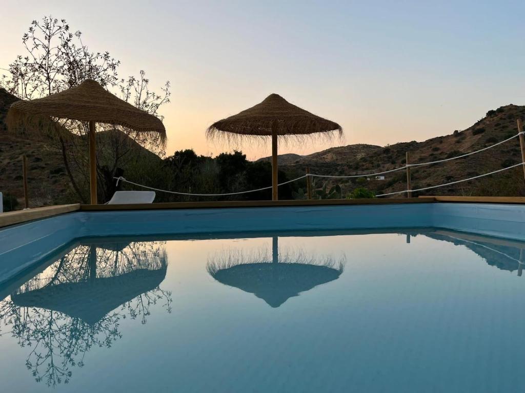 Glamping Cabaña Suite Los Almendros - 5