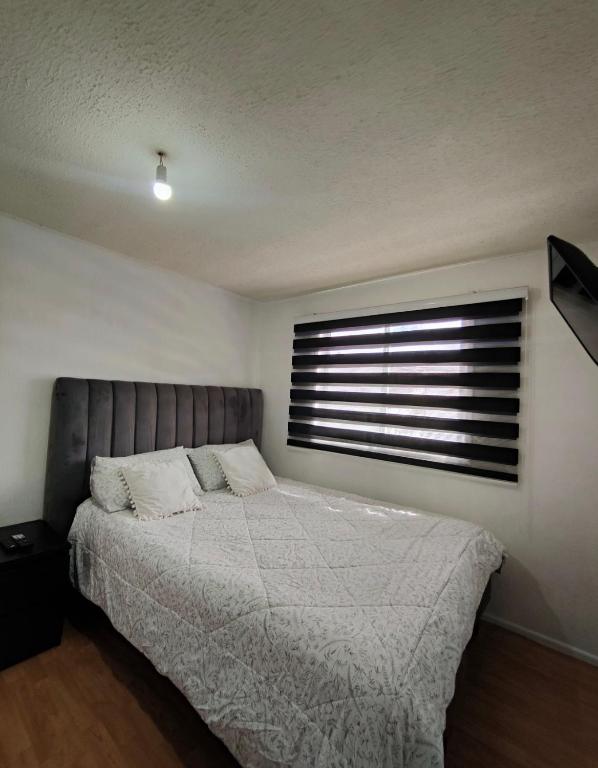 Habitaciones en Curico - 2