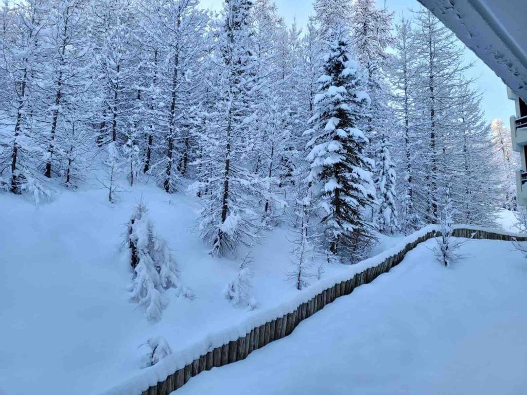 Très beau studio pieds des pistes tout rénové - 2