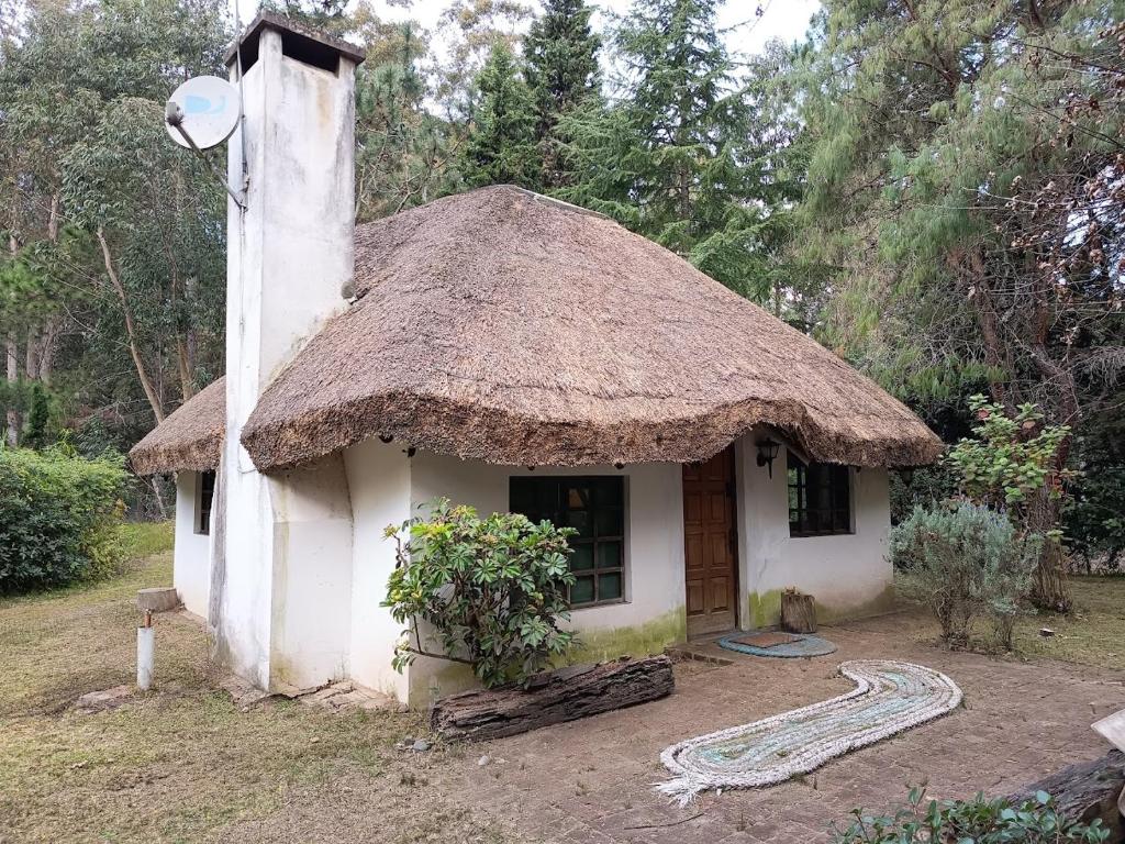 Casa Quincho en el Bosque - 4