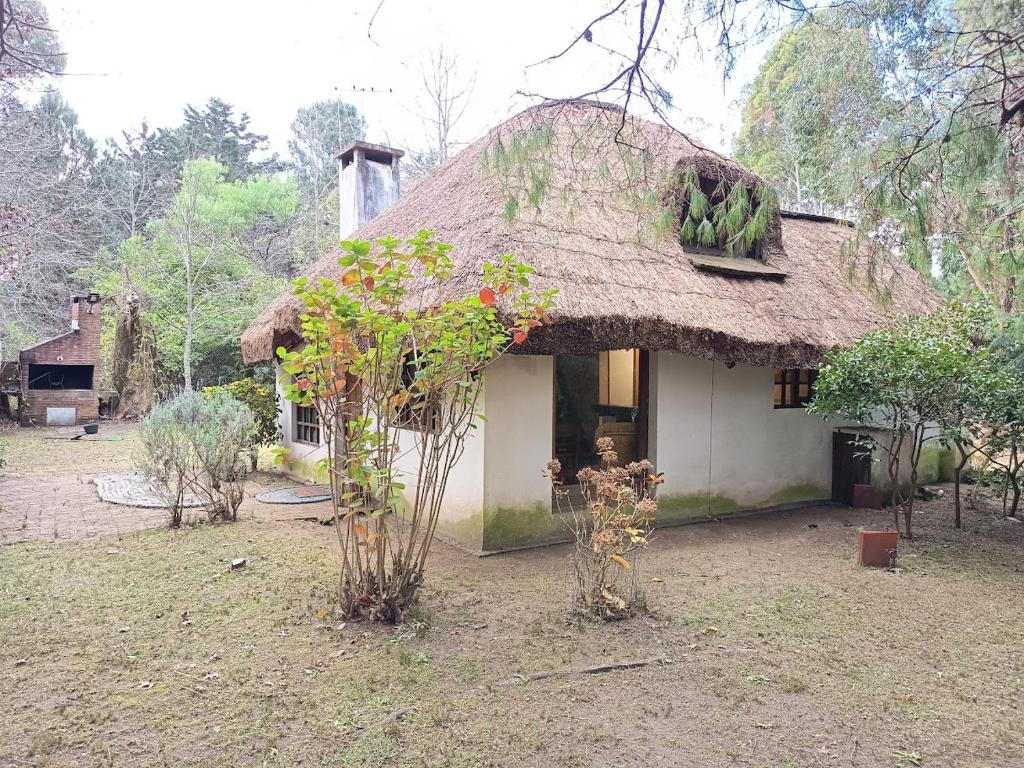 Casa Quincho en el Bosque - 5