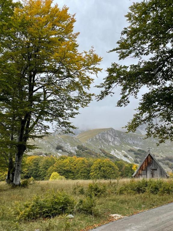 GUEST HOUSE PRIVAL.CLUB - 2