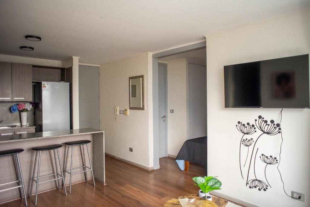 Apartartment 2 Bedrooms Suite Macul Metro Fully Equipped - 5