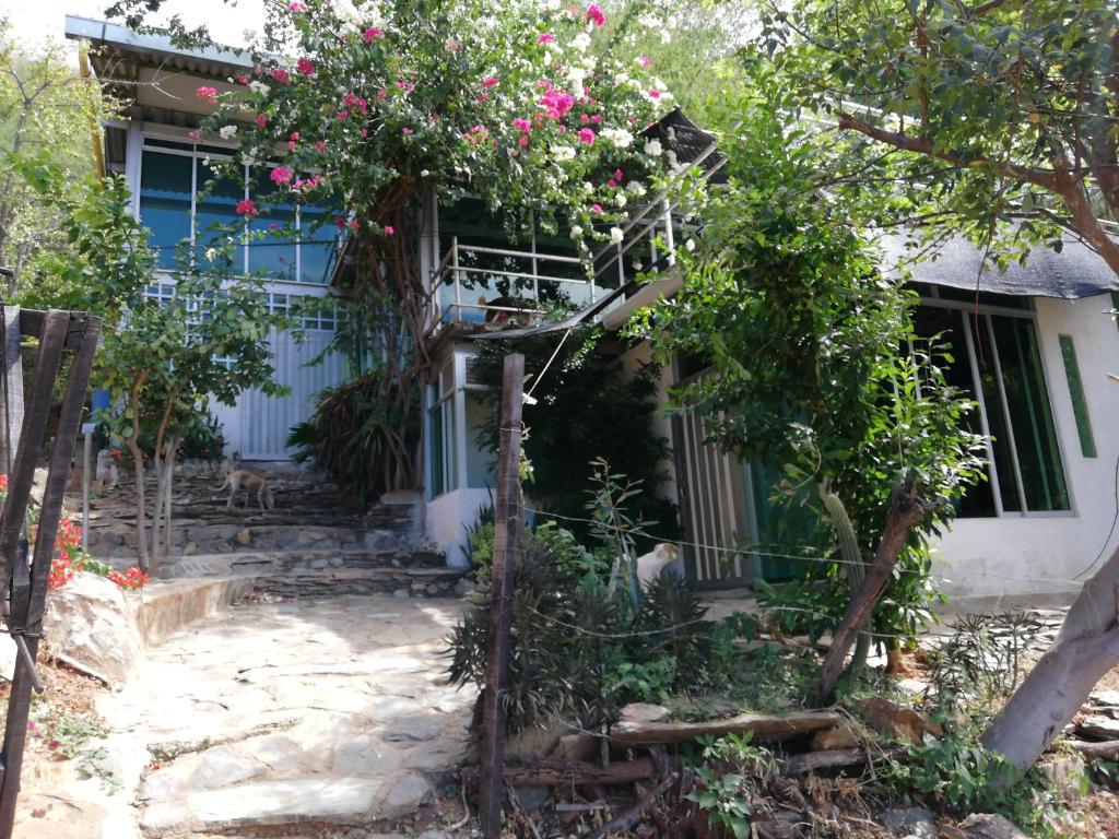 IronHouse Taganga Apartasuite - 2
