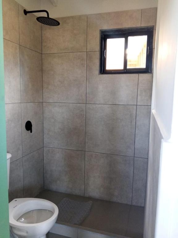 Bosque Patagónico - 2