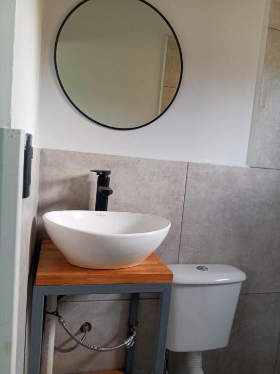 Bosque Patagónico - 4