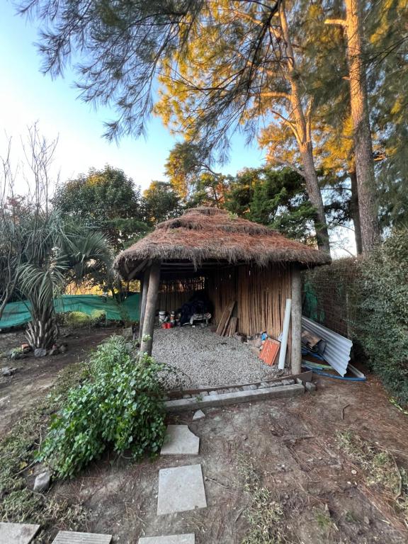 Casa sakura - 5