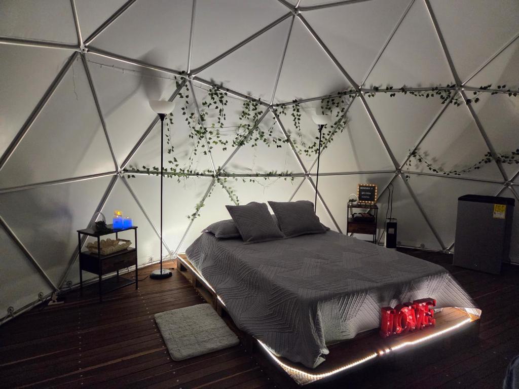 Deluxe Glamping Domo - 3