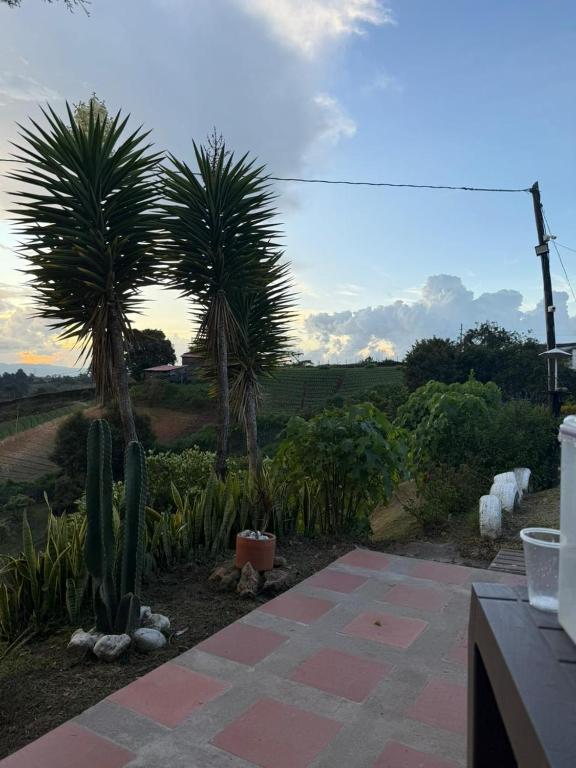 Encantadora finca en el corazón de Marinilla con vistas únicas y ubicación privilegiada - 4