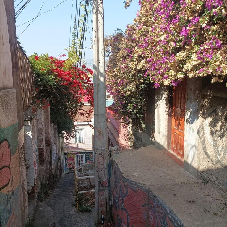 Casita Equipada Cerro Bellavista - 5