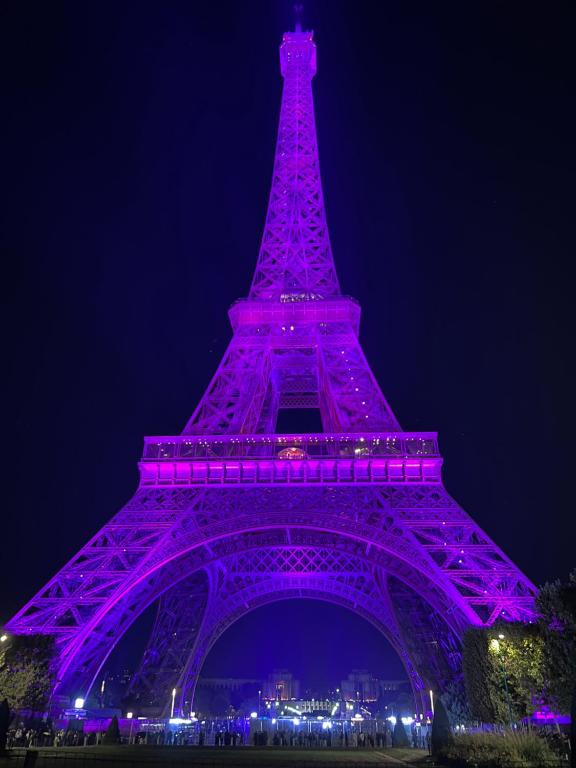 Eiffel Tower Oasis 30m from Eiffel Tower - 4