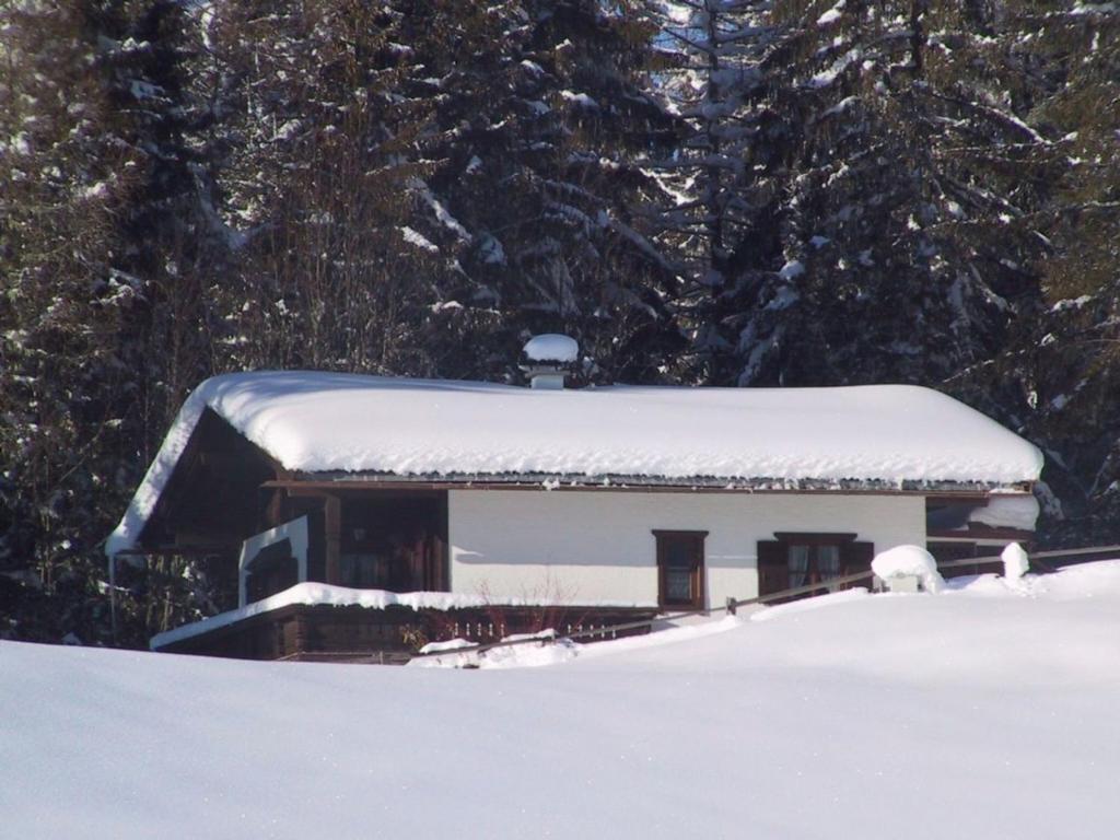 Steindl Häusl - 5