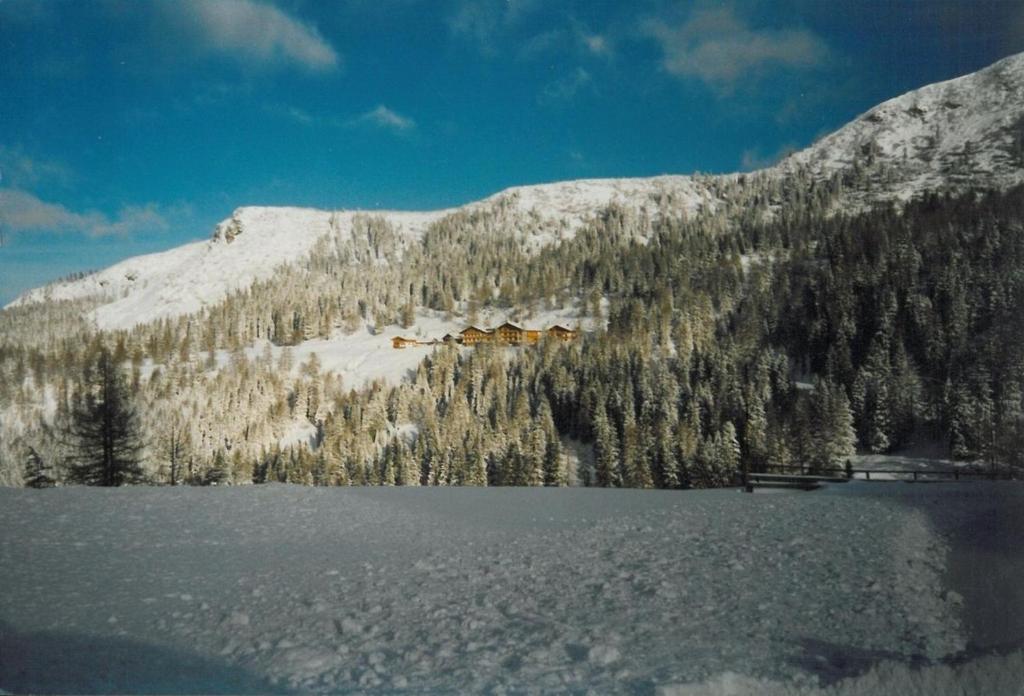 Vordergottschallalm - 2