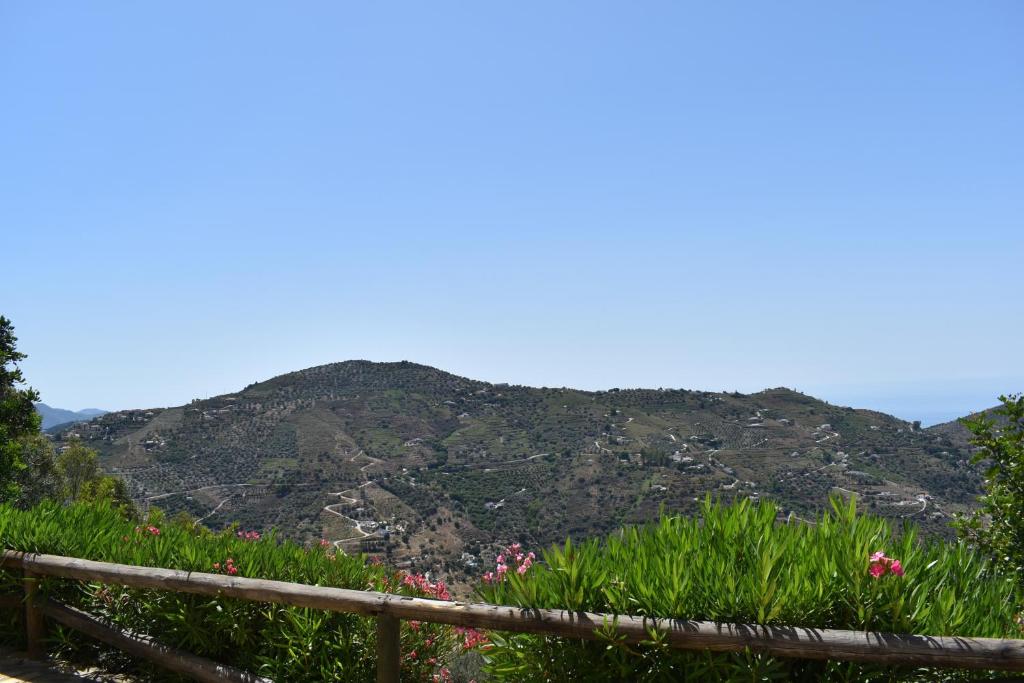 Finca Algarabia with private Pool - 3