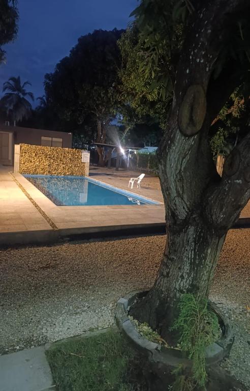 Mango Beach - 4