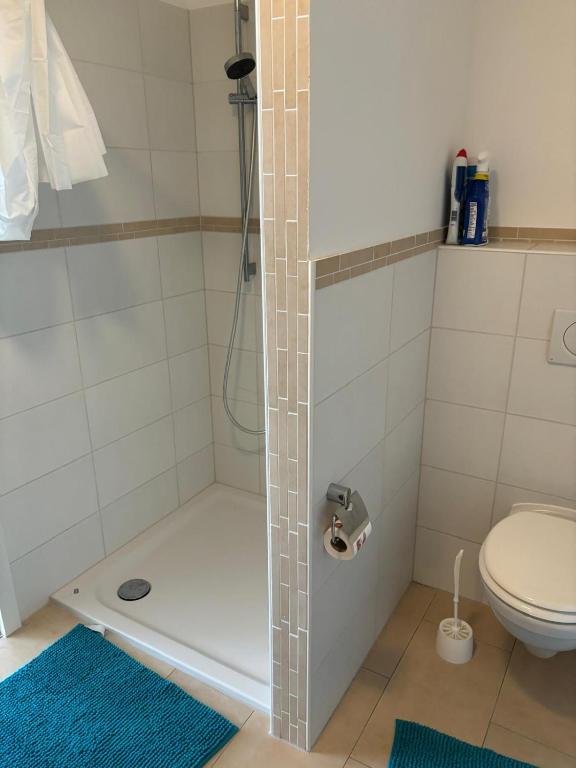 schöne Einliegerwohnung mit Stellplatz - 4