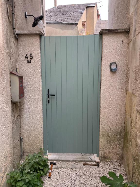 Maison d Albertine, charme, jardin, hyper centre - 2