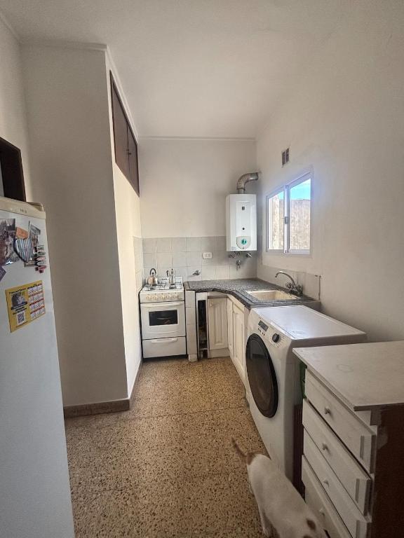 APARTAMENTO 2 HUÉSPEDES, Acepta mascota - 2
