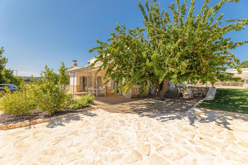 Villa Camilla - 5