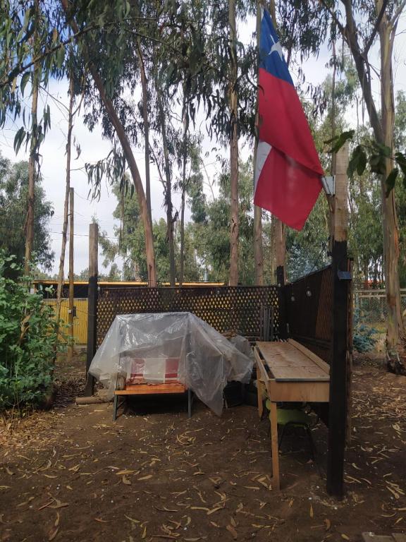 Cabaña entre eucaliptos en Huaquén 3D 1B más patio - 4