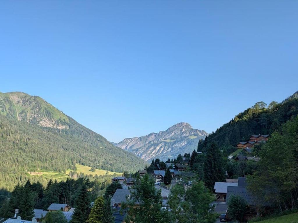 Appartement 8 pièces, 15 pers, Châtel, avec balcon - FR-1-676-234 - 2
