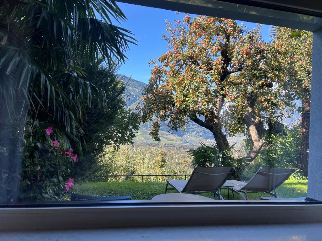 Garden Apartment Villa Corazza - 2