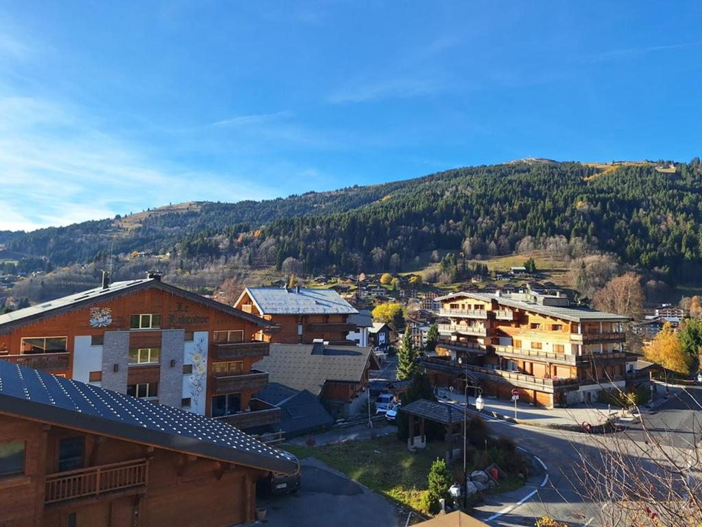 T2 agréable avec cheminée, balcon et parking aux Gets - FR-1-573-145 - 1