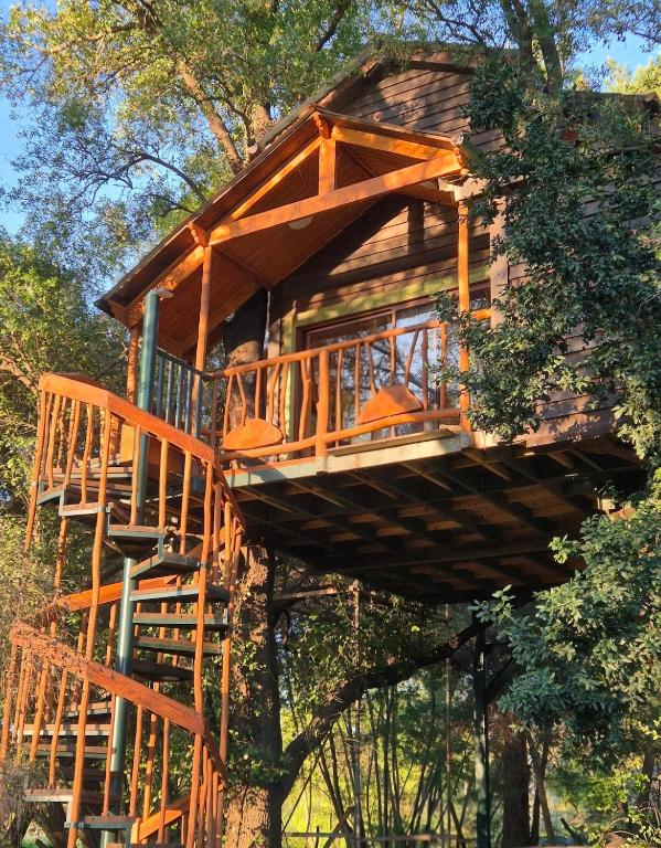 Casa de árbol Quillón - 1