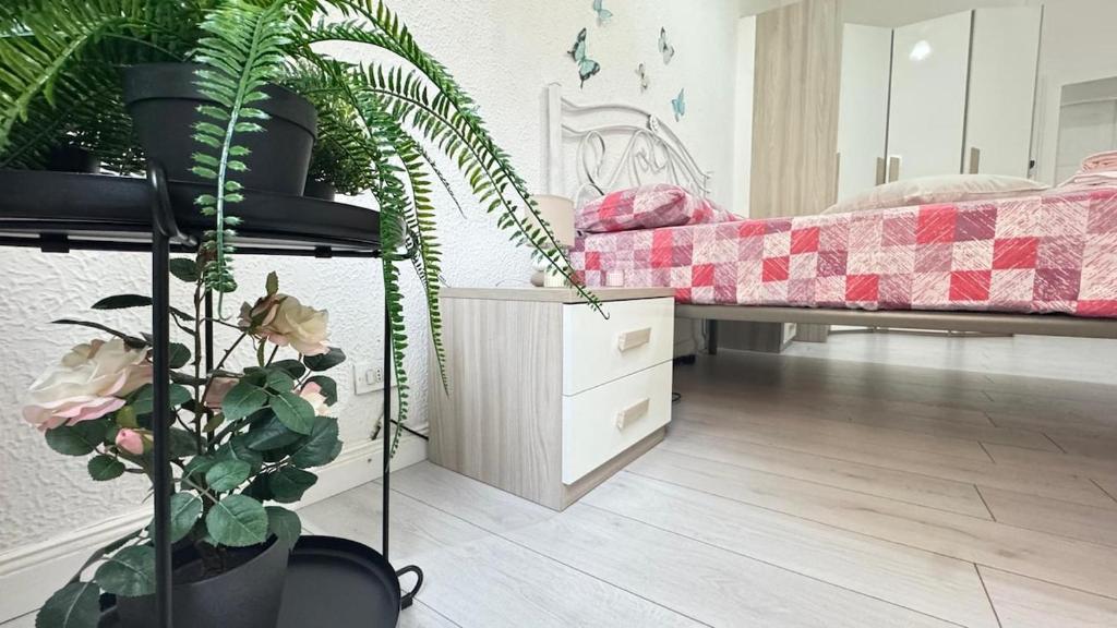 Appartamento Magenta - 5