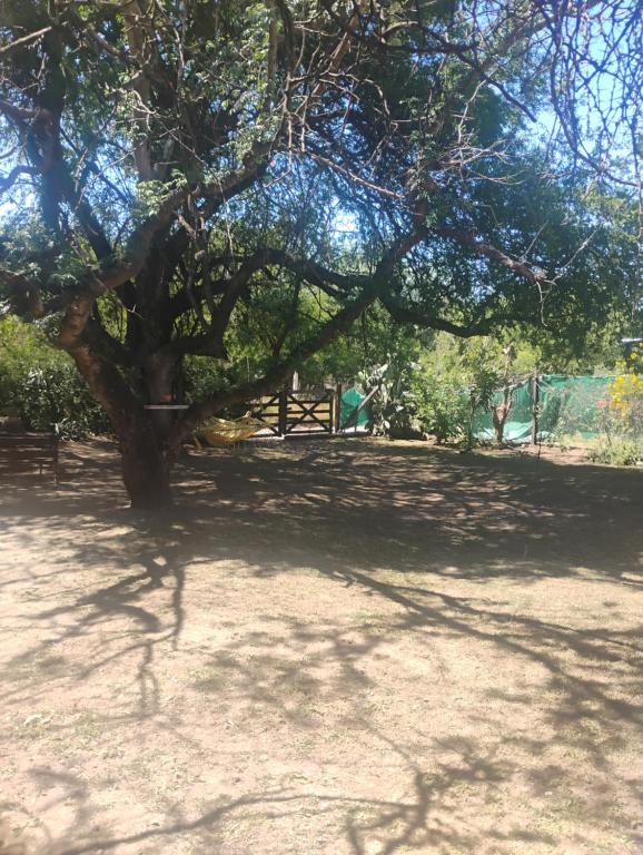 Casa de campo con pileta - 2