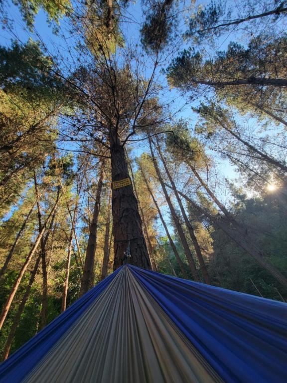 Kurü Glamping - 5
