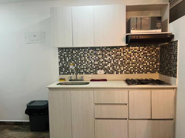 Impecable y lujoso apartamento para una estadía unica - 4