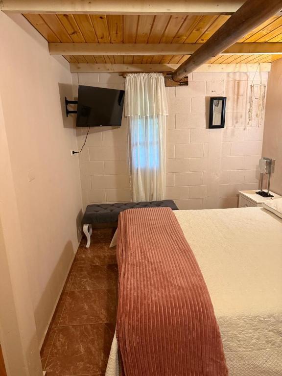 Casa familiar con pileta propia, amplio terreno! - 4