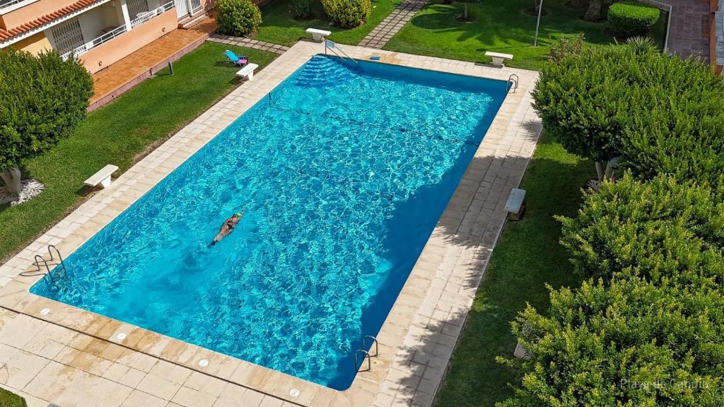 Apartamento PARADISE Solo Familias - 3
