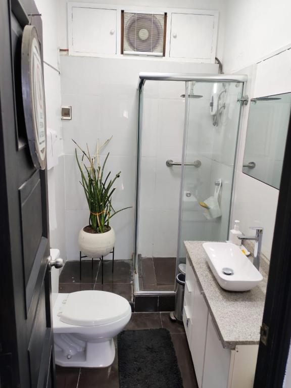PintoHome - 3