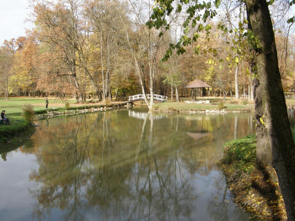 Hotel Park photo